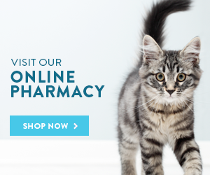 Online Pharmacy | Veterinarian in Miami, FL | Red Bird Animal Clinic